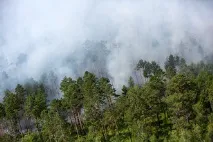 Чому ми бачимо обличчя на Марсі та на бутербродах обличчя