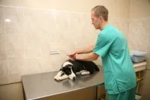 кліщ