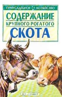 Чому антинародна влада в Україні безсмертна, ddess БидлоФоб влада