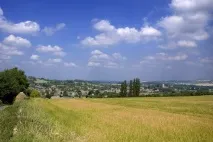 Поїздки Англією якого