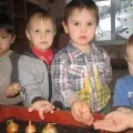 Пізнавально-дослідницький проект «Город на вікні» проект