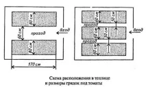 Посадка помідорів у теплицю вирощування, запилення, підв’язування теплицю