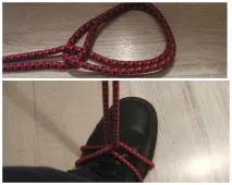 єктах