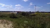 димері