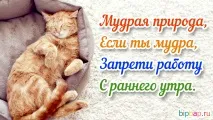 ранку