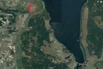 димері