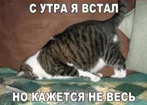 прикольні