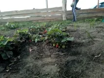 продаж