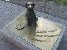Притулки для собак у Ногинську ногинську