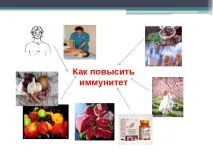 Презентація на тему Що таке імунітет з біологічної точки зору імунітет
