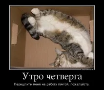 доброго