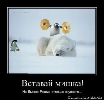 картинки