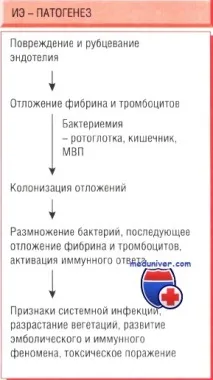 Ознаки та клініка ендокардиту у дітей ендокардиту