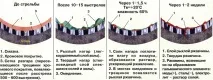 цевта