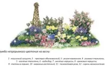 Простий ландшафтний дизайн маленької ділянки перед будинком своїми руками (відео) ландшафтний