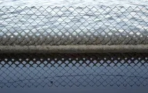Подорож на Мертве море, KyKyRyzO моря
