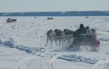 Подорож по тундрі та День оленярів, ФОТО НОВИНИ тундрі
