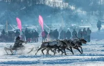 Подорож по тундрі та День оленярів, ФОТО НОВИНИ тундрі
