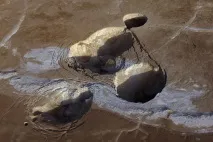 Подорож на Мертве море, KyKyRyzO моря