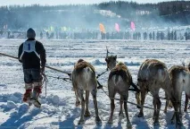 Подорож по тундрі та День оленярів, ФОТО НОВИНИ фото