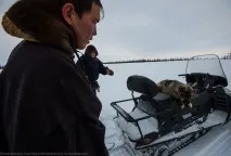 Подорож по тундрі та День оленярів, ФОТО НОВИНИ тундрі