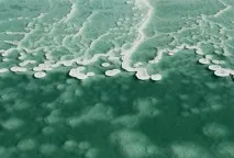 Подорож на Мертве море, KyKyRyzO моря