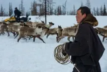 Подорож по тундрі та День оленярів, ФОТО НОВИНИ фото