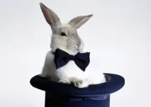 Викриття Performance Marketing marketing