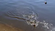 Риболовля на річці Сейм річці