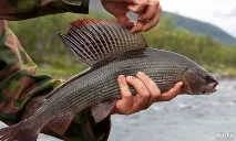 Рибальський кораблик (безкоштовна доставка по Красноярську), санки, сани, торпеда, супутник, водяний безкоштовна