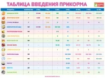 місяців