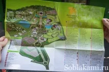Роял Парк у Чіангмаї (Flora Royal Park Rajapruek Chiangmai) flora