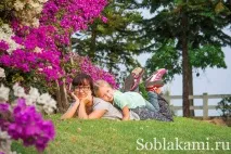 Роял Парк у Чіангмаї (Flora Royal Park Rajapruek Chiangmai) flora