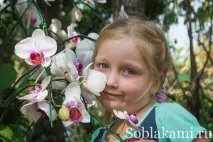 Роял Парк у Чіангмаї (Flora Royal Park Rajapruek Chiangmai) royal