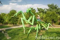 Роял Парк у Чіангмаї (Flora Royal Park Rajapruek Chiangmai) royal