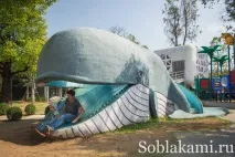 Роял Парк у Чіангмаї (Flora Royal Park Rajapruek Chiangmai) чіангмаї