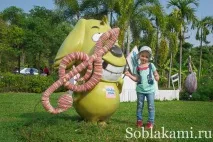 Роял Парк у Чіангмаї (Flora Royal Park Rajapruek Chiangmai) flora