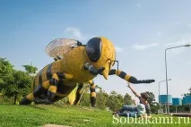 Роял Парк у Чіангмаї (Flora Royal Park Rajapruek Chiangmai) чіангмаї