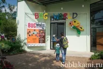 Роял Парк у Чіангмаї (Flora Royal Park Rajapruek Chiangmai) чіангмаї
