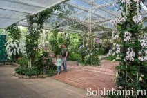 Роял Парк у Чіангмаї (Flora Royal Park Rajapruek Chiangmai) роял
