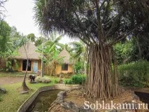 Роял Парк у Чіангмаї (Flora Royal Park Rajapruek Chiangmai) royal