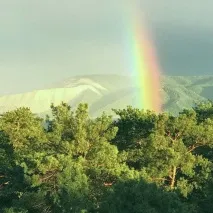 офіційний
