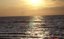 Сєдове Металург Пансіонат номерах