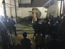 щасливий