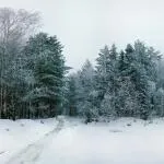 Скеля Висячий камінь, Природа Новоуральська