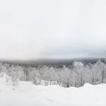Скеля Висячий камінь, Природа висячий