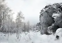 Скеля Висячий камінь, Природа камінь