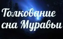 Сонник 🌛 мурахи приснилися до чого сняться мурахи уві сні - тлумачення снів сонник