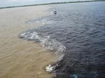 Солоність Червоного та Балтійського морів - відповіді та поради на твої питання морів