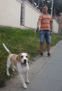 Собаки старого Вільнюса та їхні господарі вразили нас вихованістю вільнюса